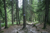 Lac Bucura, Cab Carnic