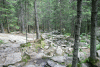 Lac Bucura, Cab Carnic
