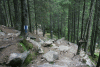 Lac Bucura, Cab Carnic