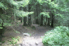 Lac Bucura, Cab Carnic