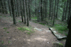Lac Bucura, Cab Carnic
