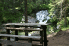 Lac Bucura, Cab Carnic