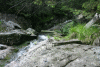 Lac Bucura, Cab Carnic