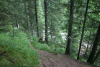 Lac Bucura, Cab Carnic