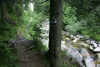 Lac Bucura, Cab Carnic