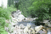 Lac Bucura, Cab Carnic