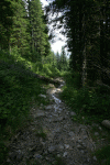Lac Bucura, Cab Carnic