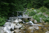 Lac Bucura, Cab Carnic