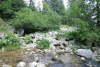 Lac Bucura, Cab Carnic