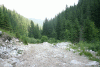 Lac Bucura, Cab Carnic