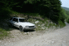 Lac Bucura, Cab Carnic