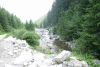 Lac Bucura, Cab Carnic