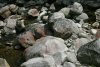 Lac Bucura, Cab Carnic