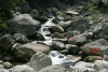 Lac Bucura, Cab Carnic