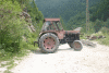 Lac Bucura, Cab Carnic