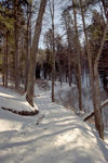 Sinaia, Cabana Piscul Cainelui, Creasta Baiului, Azuga