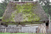 casa de piatra