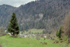 casa de piatra