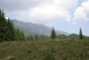 defrisari, piatra craiului, dezastru sudic