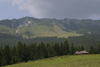 defrisari, piatra craiului, dezastru sudic
