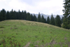 defrisari, piatra craiului, dezastru sudic