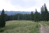 defrisari, piatra craiului, dezastru sudic
