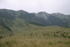 defrisari, piatra craiului, dezastru sudic