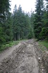 defrisari, piatra craiului, dezastru sudic