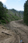 defrisari, piatra craiului, dezastru sudic