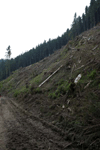 defrisari, piatra craiului, dezastru sudic