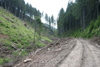 defrisari, piatra craiului, dezastru sudic