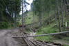 defrisari, piatra craiului, dezastru sudic