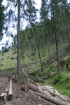 defrisari, piatra craiului, dezastru sudic