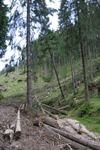 defrisari, piatra craiului, dezastru sudic