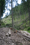 defrisari, piatra craiului, dezastru sudic