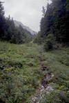 padina horoabei