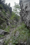 padina horoabei