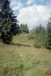 padina horoabei