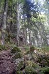 padina horoabei