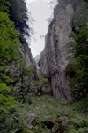 padina sindrilariei