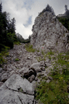 padina sindrilariei
