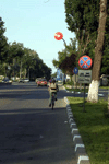 in jurul bucurestiului cu bicileta