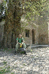 Palatul Brancovenesc Mogosoaia