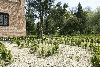 Palatul Brancovenesc Mogosoaia